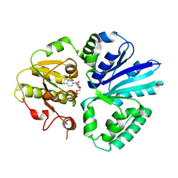 BU of 2ex1 by Molmil