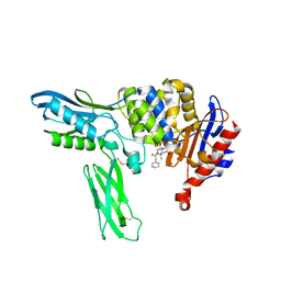 BU of 2ex8 by Molmil