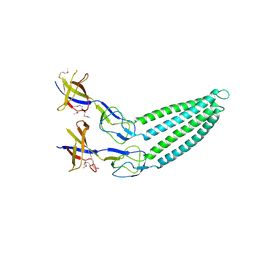 BU of 2f1m by Molmil