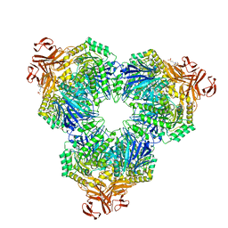 BU of 2f2h by Molmil