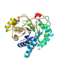 BU of 2f38 by Molmil