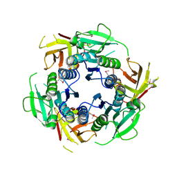 BU of 2f4n by Molmil