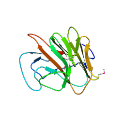 BU of 2fbe by Molmil