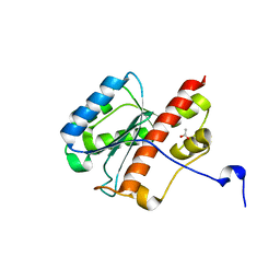 BU of 2fbt by Molmil