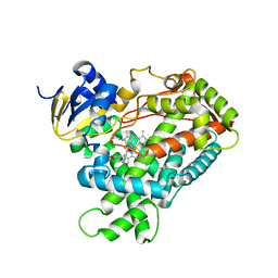 BU of 2fdw by Molmil