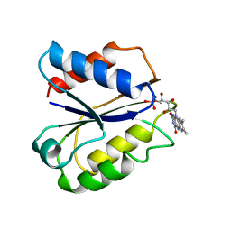 BU of 2fdx by Molmil