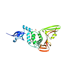 BU of 2fe8 by Molmil