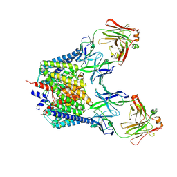 BU of 2fec by Molmil