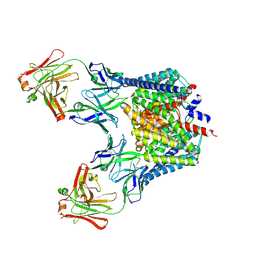 BU of 2fed by Molmil