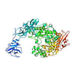 BU of 2fhc by Molmil