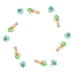 BU of 2fl9 by Molmil