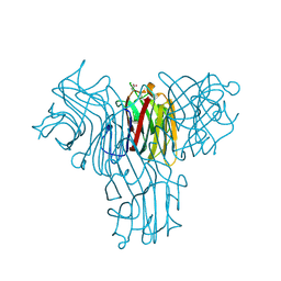 BU of 2fmd by Molmil