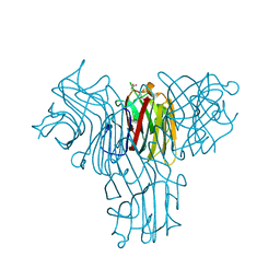 BU of 2fmd by Molmil