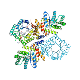 BU of 2fmn by Molmil