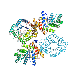 BU of 2fmo by Molmil