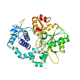 BU of 2fmp by Molmil