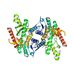 AU of 2fnz by Molmil