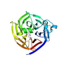 BU of 2fpb by Molmil