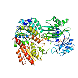 BU of 2fpg by Molmil