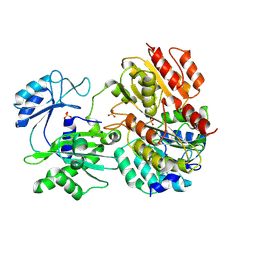 BU of 2fpi by Molmil