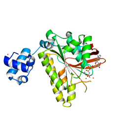 BU of 2fpm by Molmil