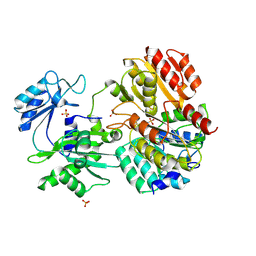 BU of 2fpp by Molmil