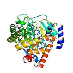 BU of 2fqi by Molmil