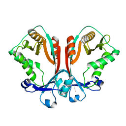 BU of 2fs5 by Molmil