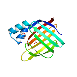 BU of 2fs6 by Molmil