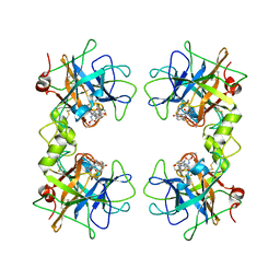 AU of 2fs9 by Molmil