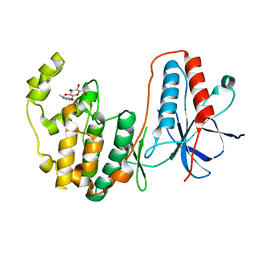 BU of 2fsl by Molmil