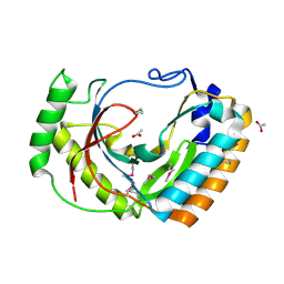 BU of 2fsq by Molmil