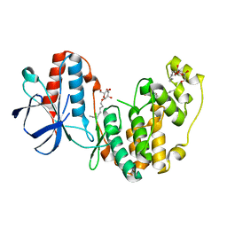 BU of 2fst by Molmil