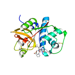 BU of 2ftd by Molmil