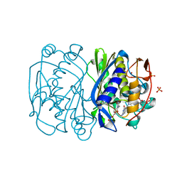 BU of 2fto by Molmil