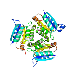 AU of 2fuw by Molmil