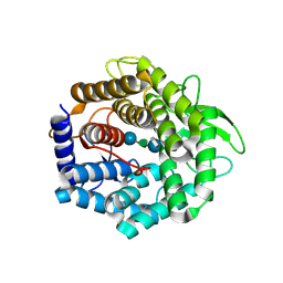 BU of 2fv0 by Molmil