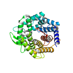 BU of 2fv1 by Molmil