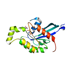 BU of 2fv8 by Molmil