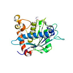 BU of 2fv9 by Molmil