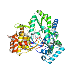 BU of 2fvc by Molmil