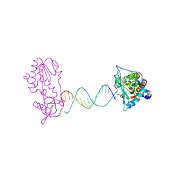 BU of 2fvr by Molmil