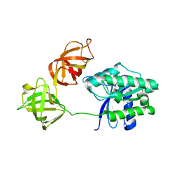 BU of 2fx3 by Molmil