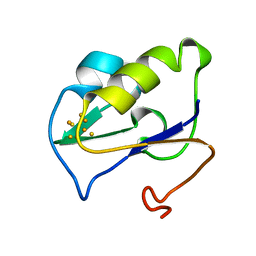 AU of 2fxb by Molmil