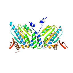 BU of 2fyp by Molmil