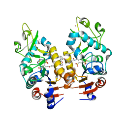 AU of 2fzq by Molmil