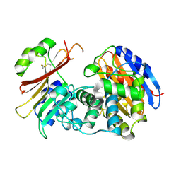 BU of 2g2w by Molmil