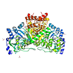 BU of 2g39 by Molmil