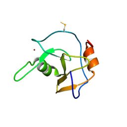 BU of 2g43 by Molmil