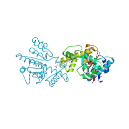 BU of 2g5g by Molmil